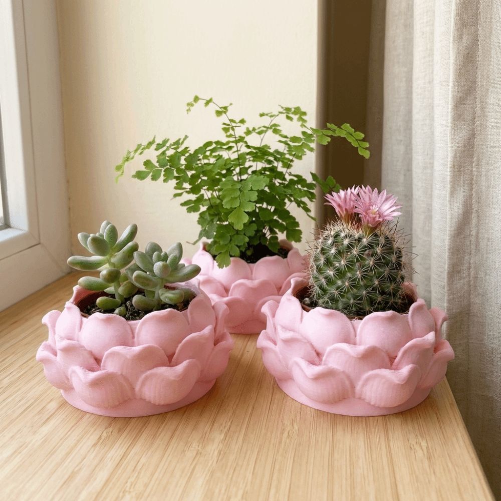 Lotus Shaped Succulent Plant P – Enclosure 3D Printing recenzja i cena